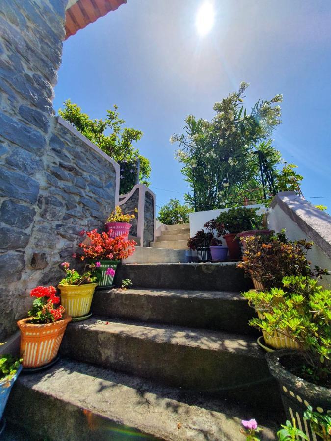 Отель Casa Velha D Fernando E Casa Avo Augusta Рибейра-Брава Экстерьер фото